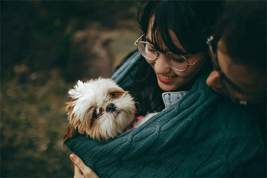 Abscessos em Coelhos: Sintomas, Tratamento e Prevenção